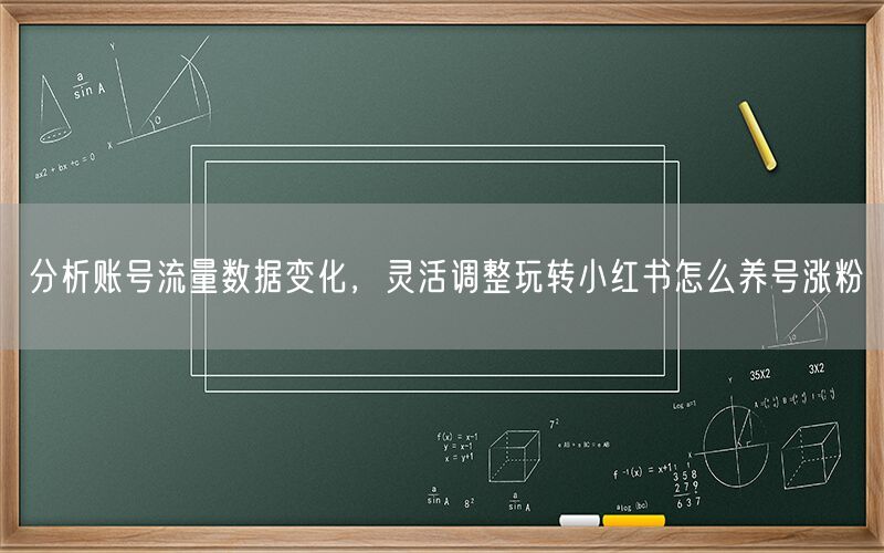 分析账号流量数据变化，灵活调整玩转小红书怎么养号涨粉