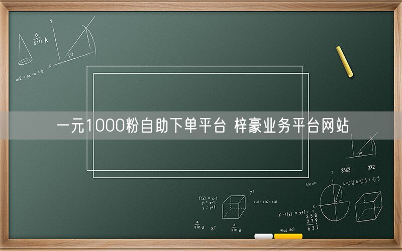 一元1000粉自助下单平台 梓豪业务平台网站