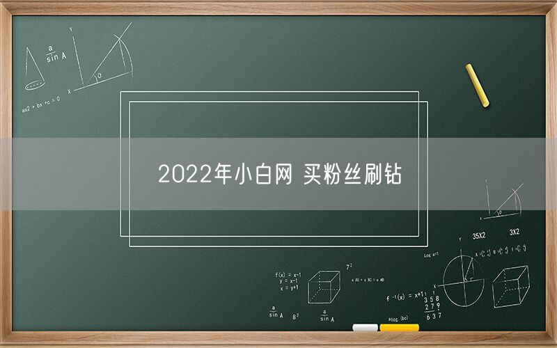 2022年小白网 买粉丝刷钻