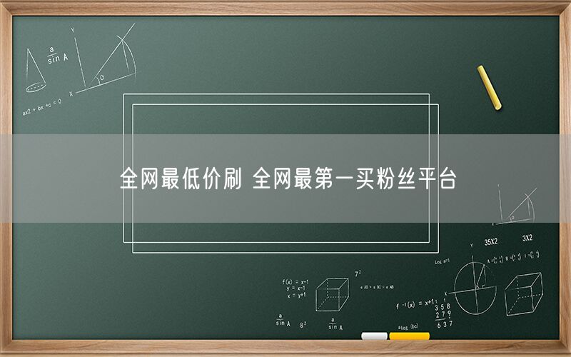 全网最低价刷 全网最第一买粉丝平台